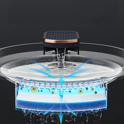 Filtres de changement pour la fontaine à eau