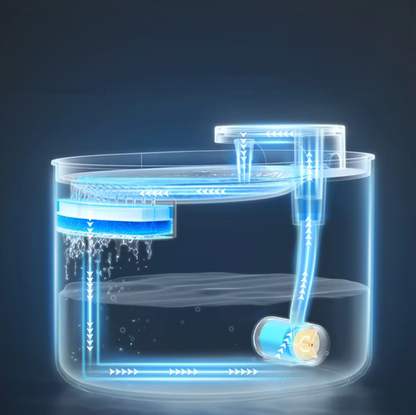 Filtres de changement pour la fontaine à eau